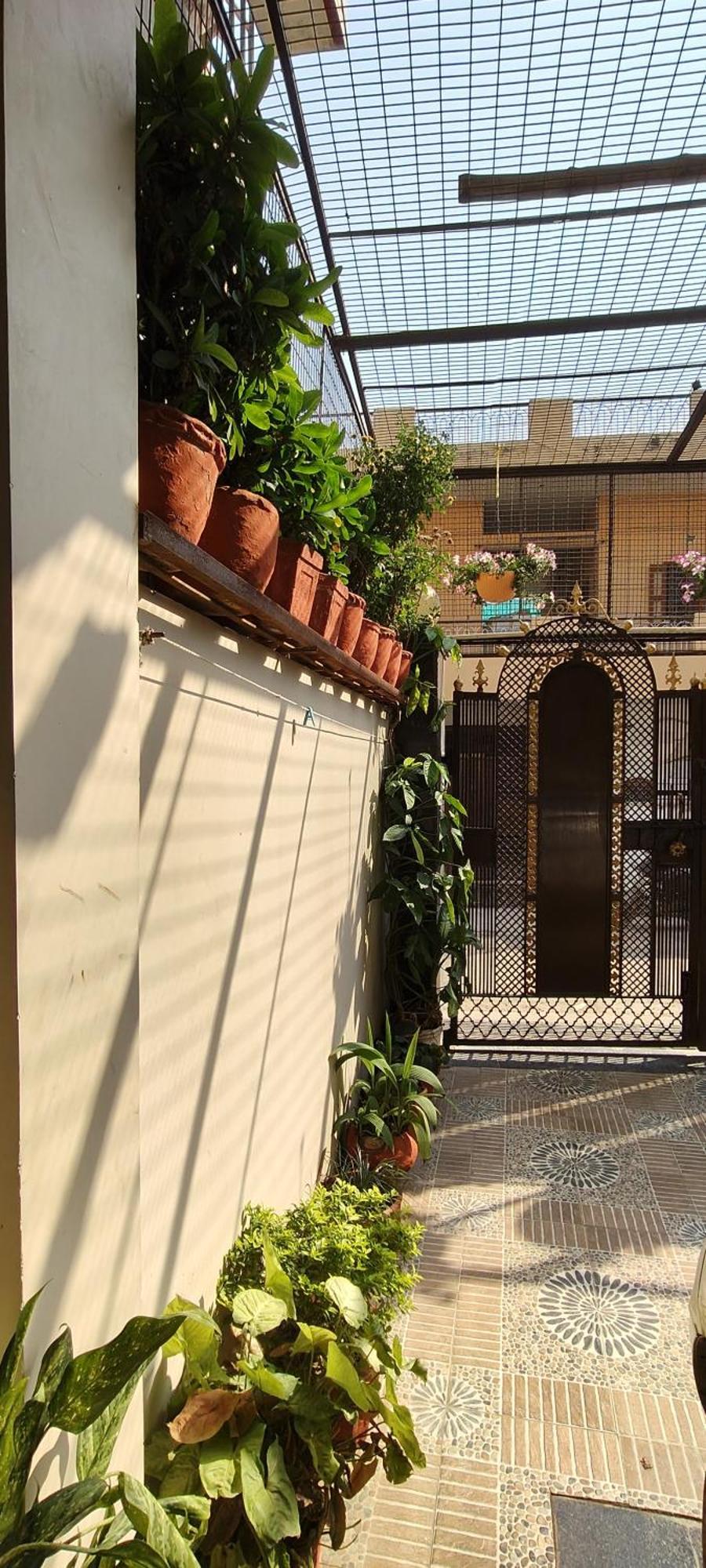 Kashivas - Spacious 2Bhk Near Assi Ghat Varanasi Eksteriør billede